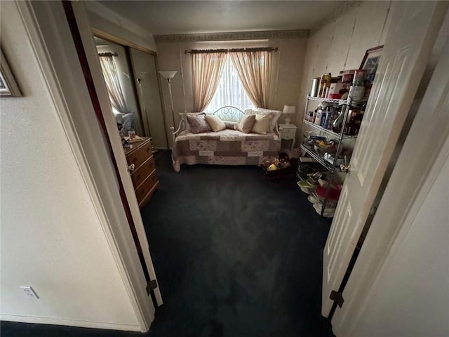 sitting room with carpet flooring