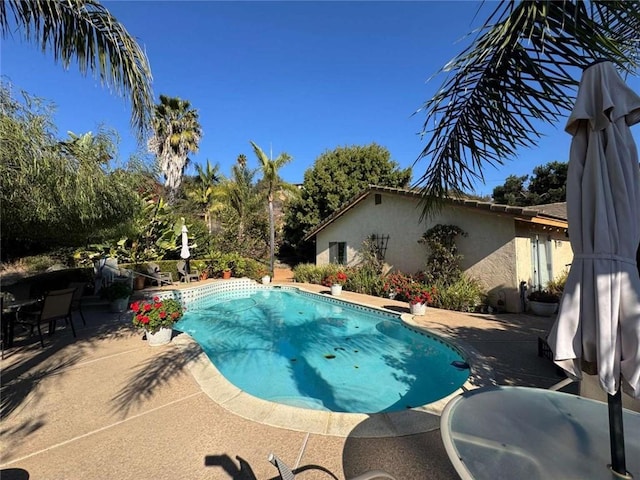 view of swimming pool with a patio area