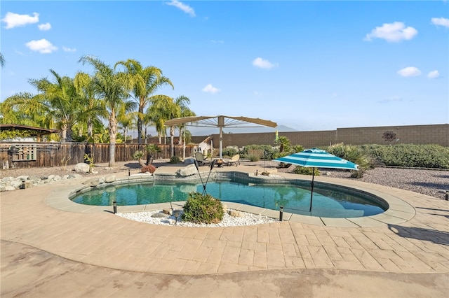 view of pool featuring a patio