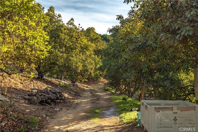 0 Circle R Dr, Escondido, CA 92026 - photo 7