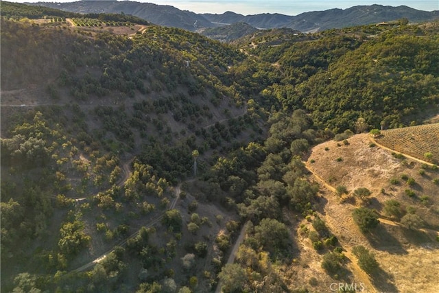 0 Circle R Dr, Escondido, CA 92026 - photo 16