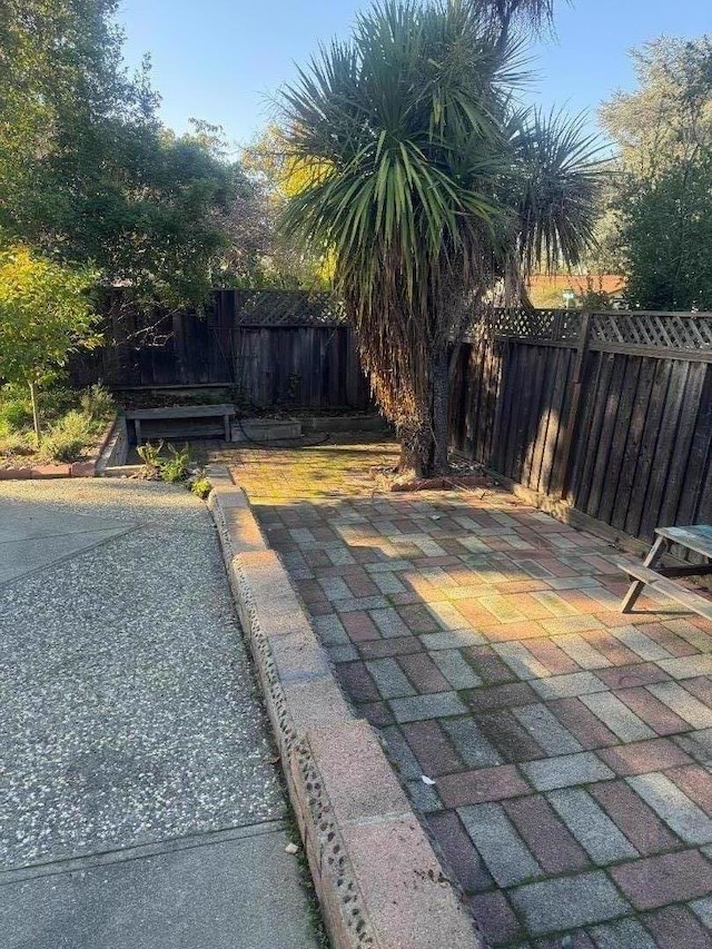 view of yard with a patio