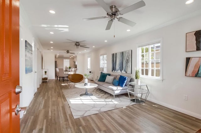 living room featuring crown molding, ceiling fan, and wood-type flooring