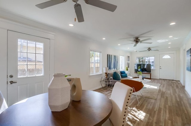 dining space featuring crown molding, ceiling fan, and light hardwood / wood-style floors