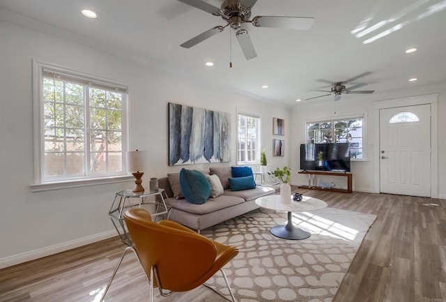 living room featuring ornamental molding, light hardwood / wood-style floors, and ceiling fan