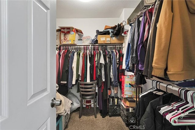 spacious closet featuring carpet flooring