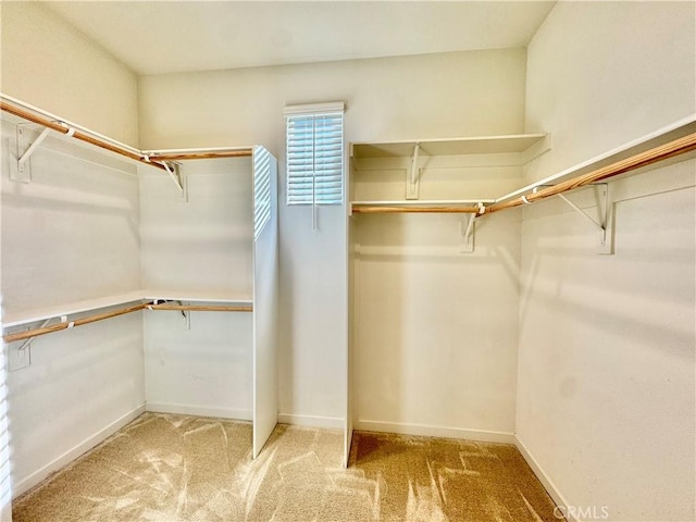 148 Stage, Irvine, CA 92618 - walk in closet featuring carpet floors