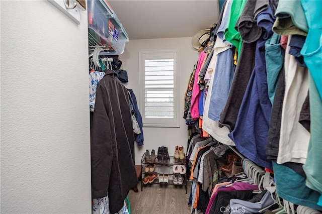 spacious closet with hardwood / wood-style flooring