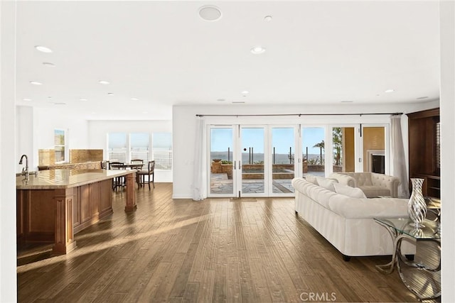 living room with dark hardwood / wood-style flooring, sink, and a wealth of natural light