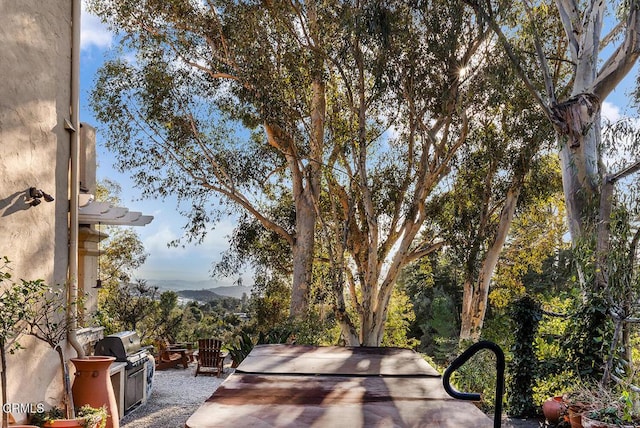 view of patio / terrace with area for grilling and a mountain view