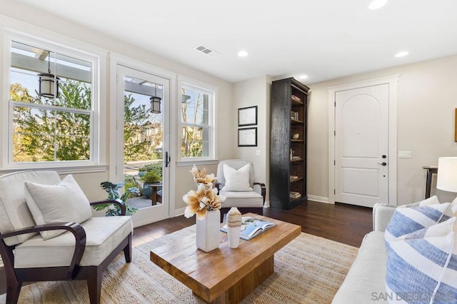 living room featuring dark wood-type flooring