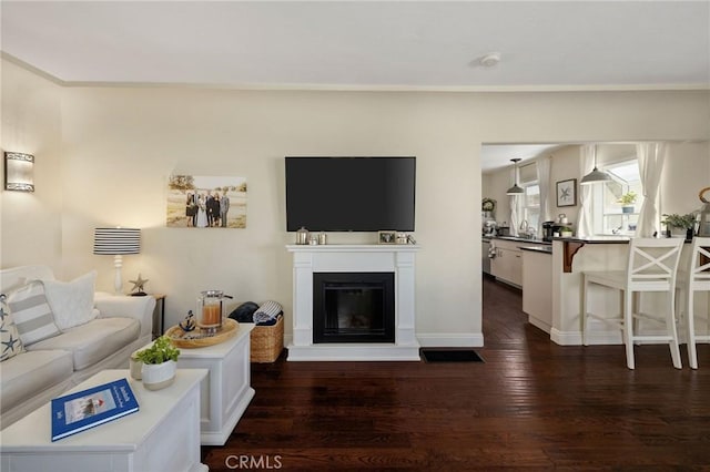 living room with dark hardwood / wood-style floors