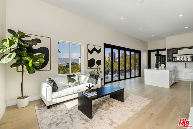 living room featuring sink and light hardwood / wood-style floors