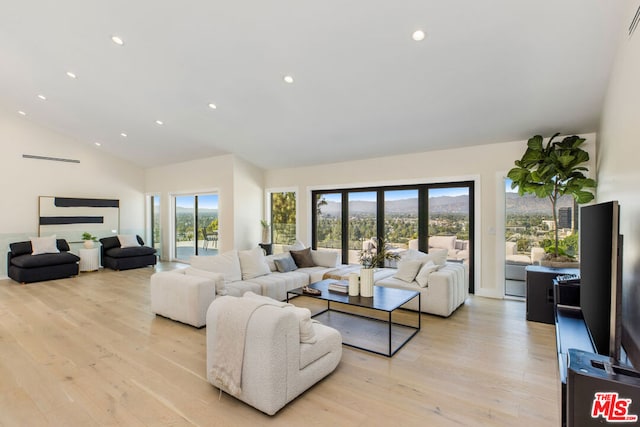 living room featuring lofted ceiling and light wood-type flooring