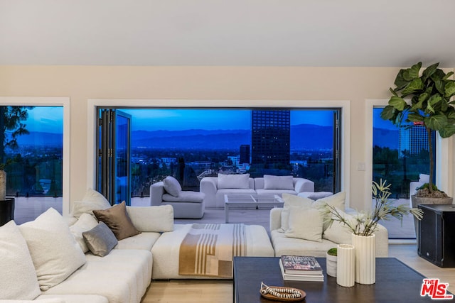 living room featuring light hardwood / wood-style floors