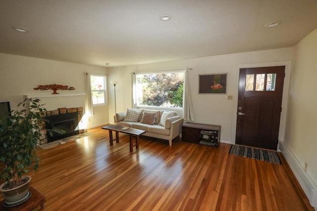 living room with a fireplace and wood-type flooring