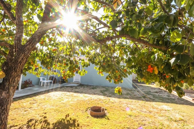 view of yard with a fire pit