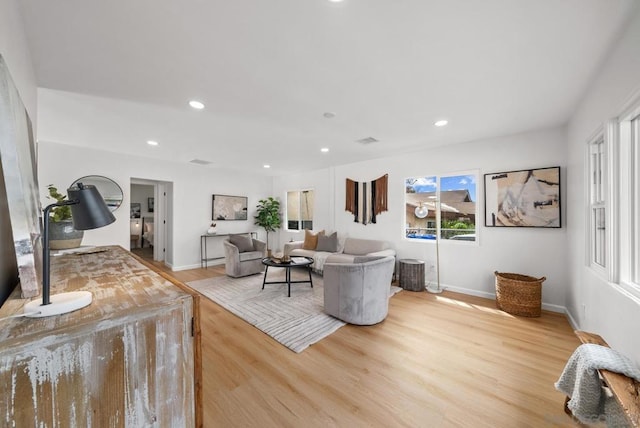 living room featuring light hardwood / wood-style flooring