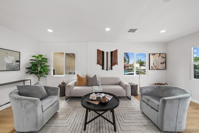 living room featuring light hardwood / wood-style flooring