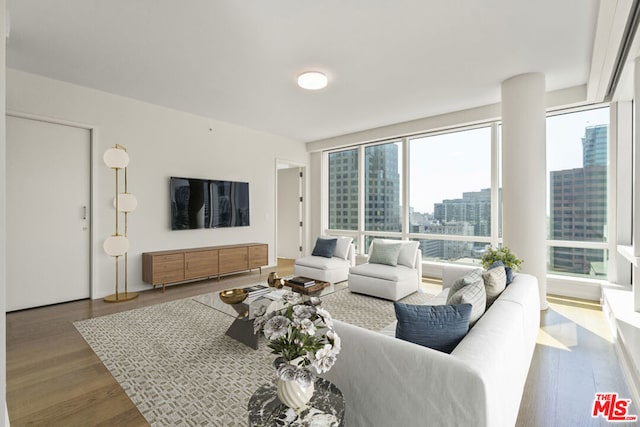 living room featuring hardwood / wood-style floors and a wealth of natural light