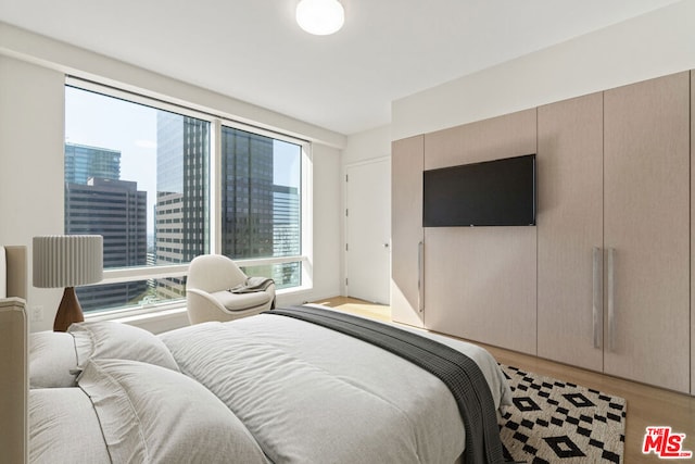 bedroom featuring light hardwood / wood-style floors