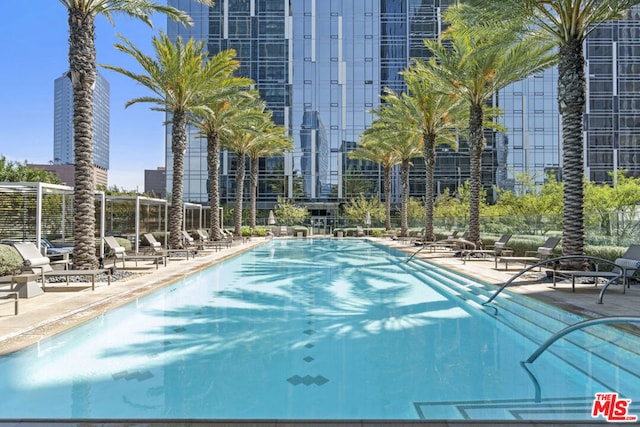 view of pool with a patio