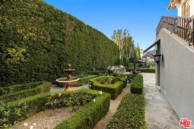 view of yard featuring a patio and a balcony