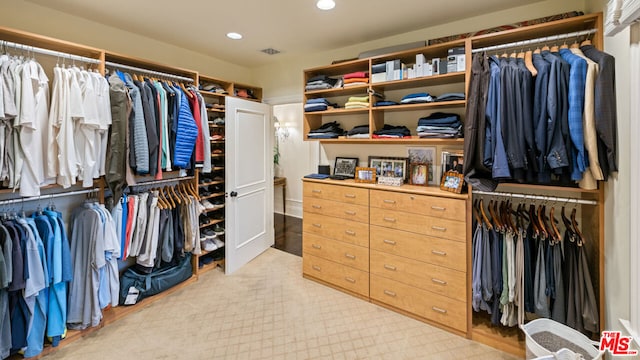 view of walk in closet