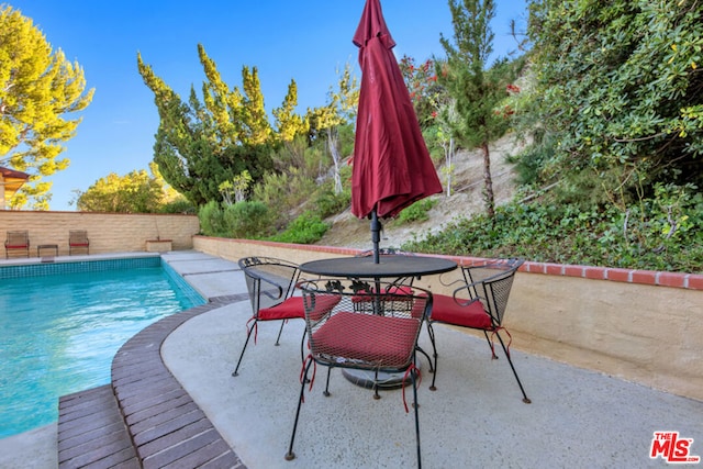 view of pool featuring a patio