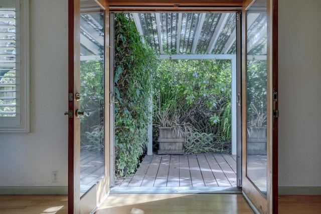 doorway featuring wood-type flooring