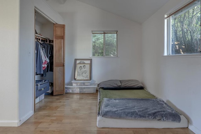 bedroom with multiple windows, light hardwood / wood-style flooring, and vaulted ceiling