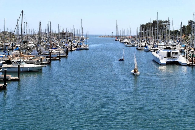 water view featuring a dock