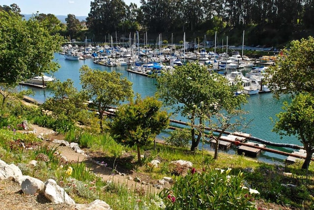 view of water feature with a boat dock