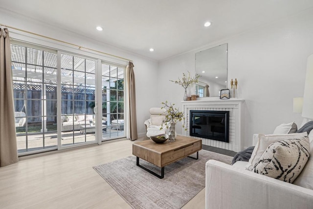 living room with ornamental molding, a fireplace, and light hardwood / wood-style floors