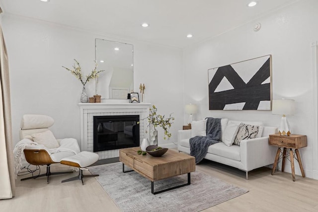 living room featuring light hardwood / wood-style flooring