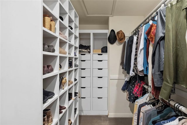 walk in closet featuring carpet flooring