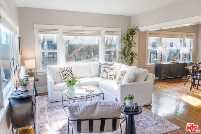 living room with a healthy amount of sunlight and hardwood / wood-style floors