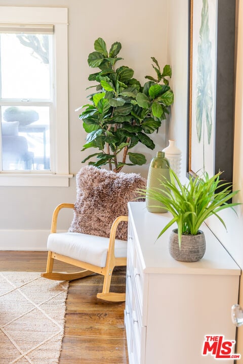 sitting room featuring light hardwood / wood-style flooring