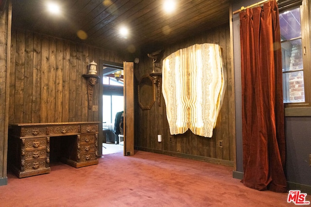 interior space with carpet flooring and wood walls