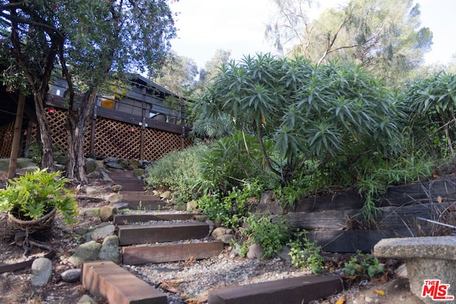 view of yard featuring a deck