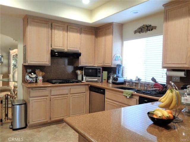 kitchen with tasteful backsplash, appliances with stainless steel finishes, sink, and light brown cabinets