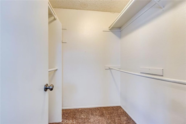 walk in closet featuring carpet