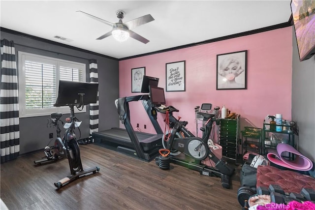 workout area featuring hardwood / wood-style floors, crown molding, and ceiling fan