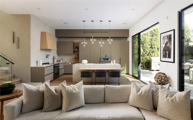 living room featuring sink and light hardwood / wood-style flooring