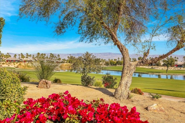 view of property's community featuring a water and mountain view and a lawn