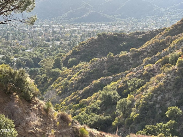 view of mountain feature