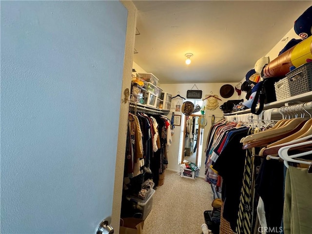 spacious closet with carpet