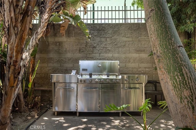 view of patio / terrace with exterior kitchen and grilling area