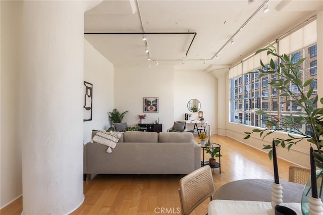 living room with rail lighting and light hardwood / wood-style flooring