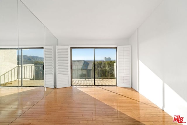 spare room featuring a mountain view, a wealth of natural light, and light hardwood / wood-style floors